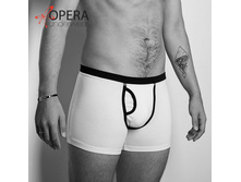������� INTEGRAL, �����-������ OPERA.jpg