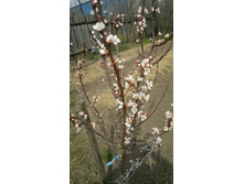 �������.