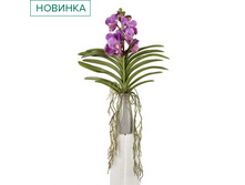 ������� ����� ������������ � ������ h 60��