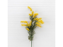 ������ �����