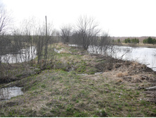 ������ �������� ��������� �����