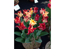 2020!!! ������� ������ ������� �����.jpg