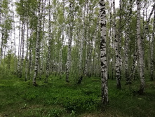 IMG 20200523 121034.jpg