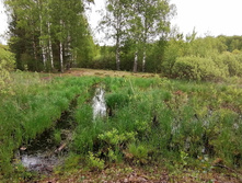 IMG 20200523 131748.jpg