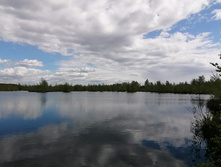 IMG 20200516 125240.jpg