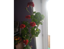 IMG 20190922 115711.jpg