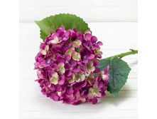 ���������, ��������, 70 ��