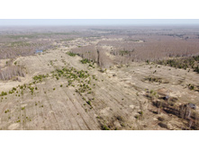 ��� �� �����������