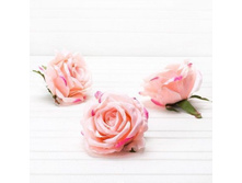 ������ ���� 13,5��, 55 �