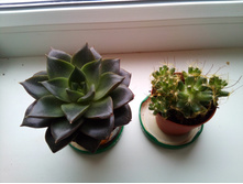 �������