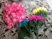 IMG 20200528 152336.jpg