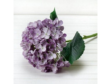 ���������, 70 ��