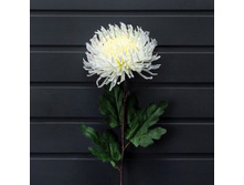 ���������� 85�� (�����)