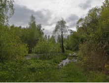 IMG 20200523 140733.jpg