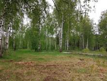 IMG 20200523 122353.jpg