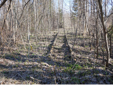 ����������� �������