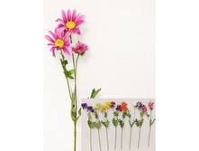 ���������� �����, 53 ��