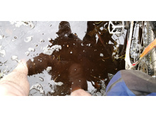 IMG 20200523 132247.jpg