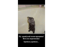 Screenshot 20200517 101824.jpg