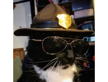 ... �� ����������, �� �������� ...