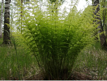 IMG 20200523 134204.jpg