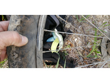 IMG 20200516 140035.jpg