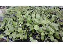 �2 � ��� �����