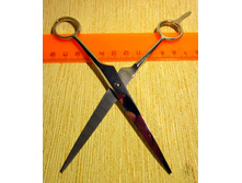 ������� � ������-6.JPG