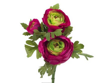 ����������, 34 ��