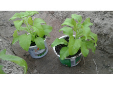 �������������