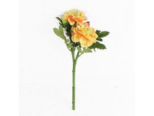 �����, 34 ��