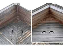 ������� ����� ��������