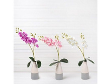 ������� *2 ����� 40��