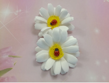 150 ��� ����