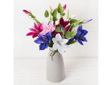 �������� 49 ��