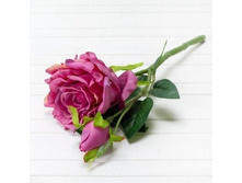 ���� �����, 36 ��