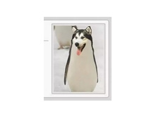 Screenshot 20200509 075803.jpg