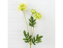 401-0469-9� ���������� (����̈�.) 1-1000x1000.jpg