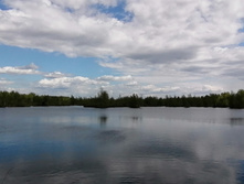 IMG 20200516 125856.jpg