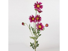 ���������� ����� (�����)