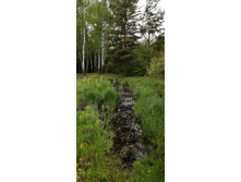 IMG 20200523 132416.jpg