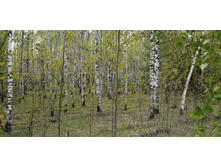 IMG 20200516 143739.jpg