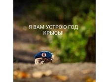 � ��� ������ ��� �����!