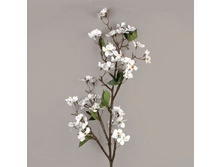 ����� ������, 103 ��