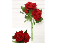 ���� ���������, 36 ��