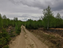 IMG 20200511 141456.jpg