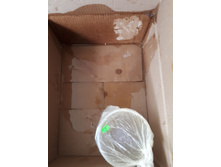 ������� ����