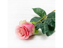 ���� ������������� h-80��