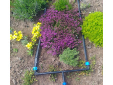 IMG 20200513 185941.jpg