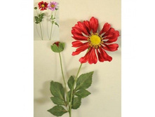 ������ 70��